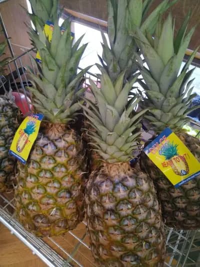 Fruit Direct