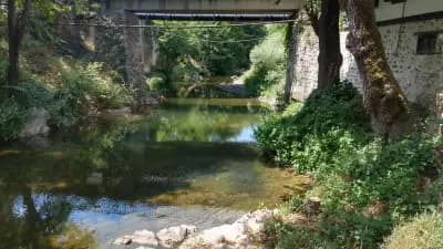 Вунцовата воденица