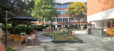 Art, Fishfood & Science - Glarus