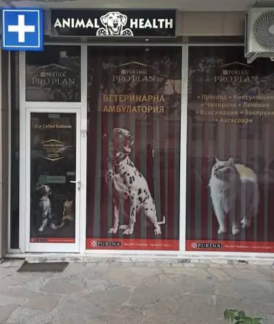 Ветеринарна амбулатория "РИЛИТЕ-ПЕТ"(Animal health)
