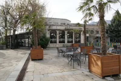 Paradise Bar & Food