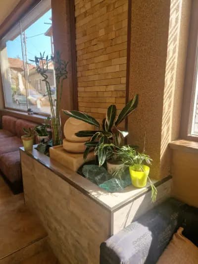 Vasabi Sushi Bar