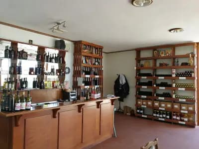 ВИНАРНА МАЛКАТА ЗВЕЗДА