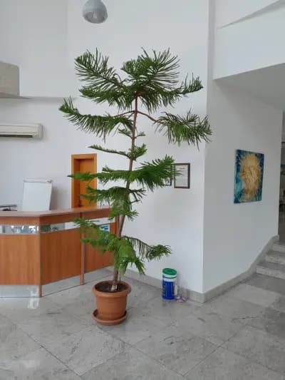 Културен Център и Библиотека