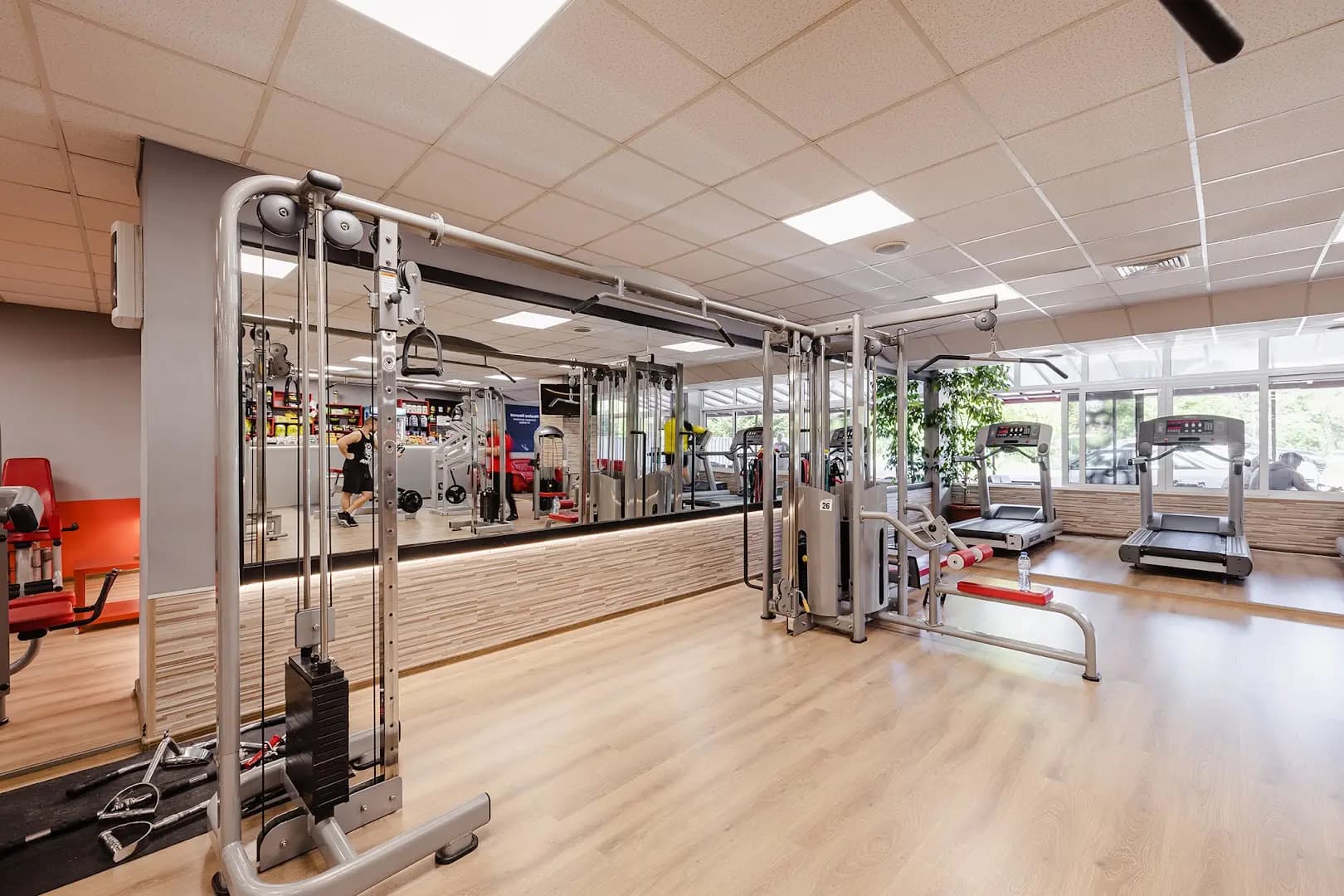King Коng GYM
