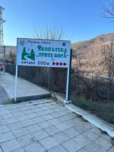 Спортист (Своге)