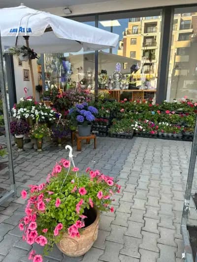 Ателие за цветя ViS Flowers