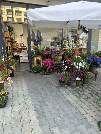 Ателие за цветя ViS Flowers