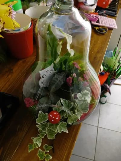 Ателие за цветя ViS Flowers