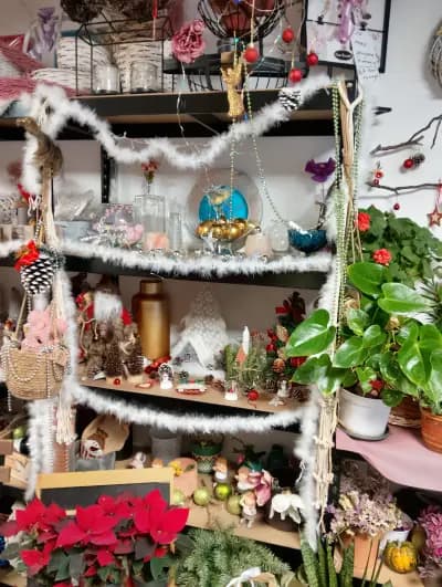 Цветя Майлея/Maylea