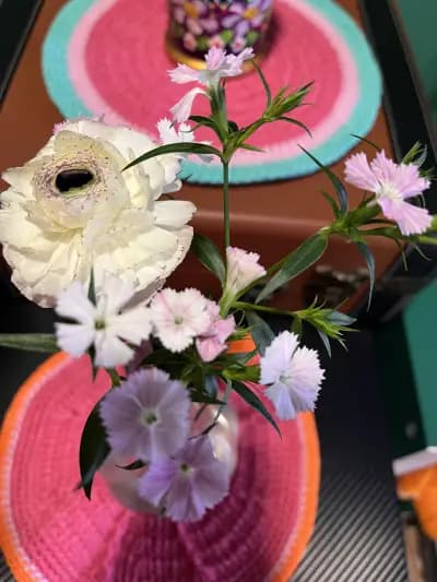 Kodama