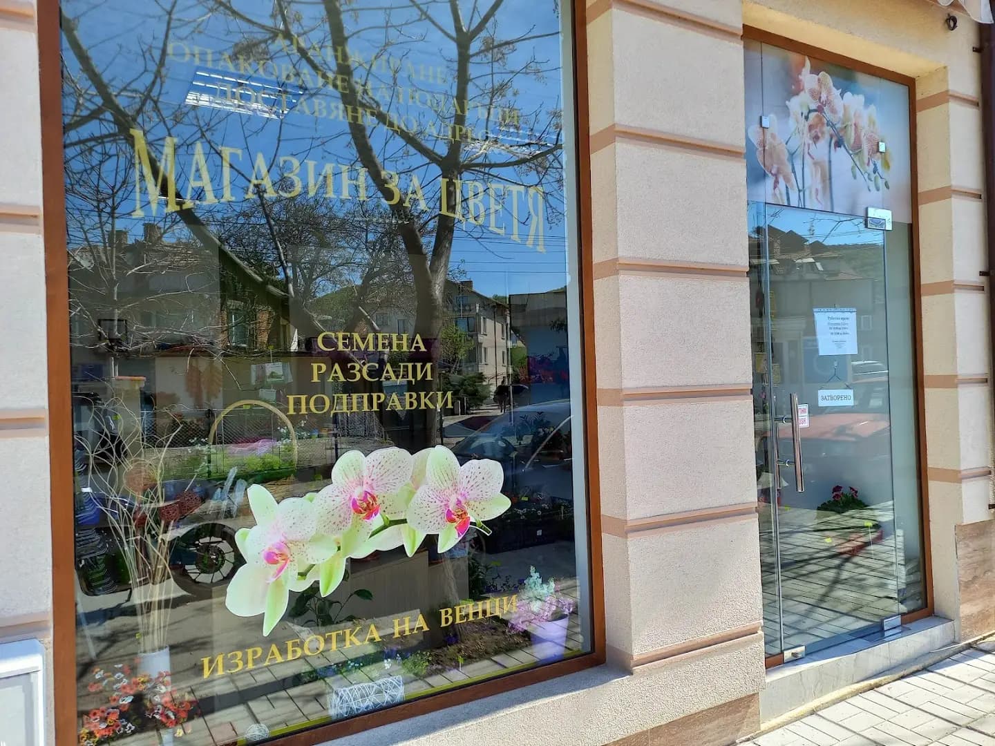 Flowers Shop - Obzor