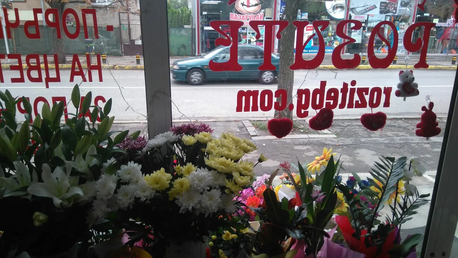 Розите