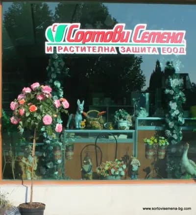 Сортови семена и растителна защита ЕООД