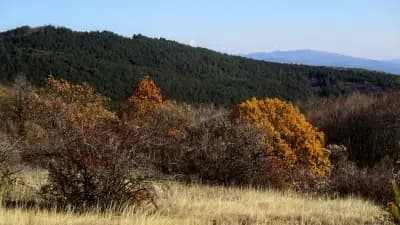 спирка „Кметство Балша“