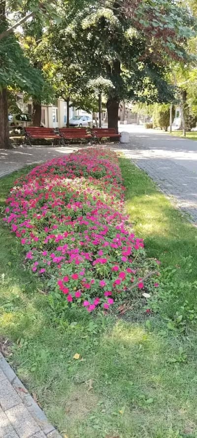 Община Белослав