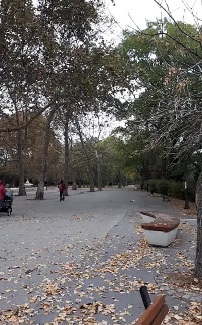 Панорамни пейки