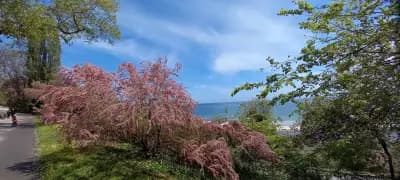 Панорамни пейки