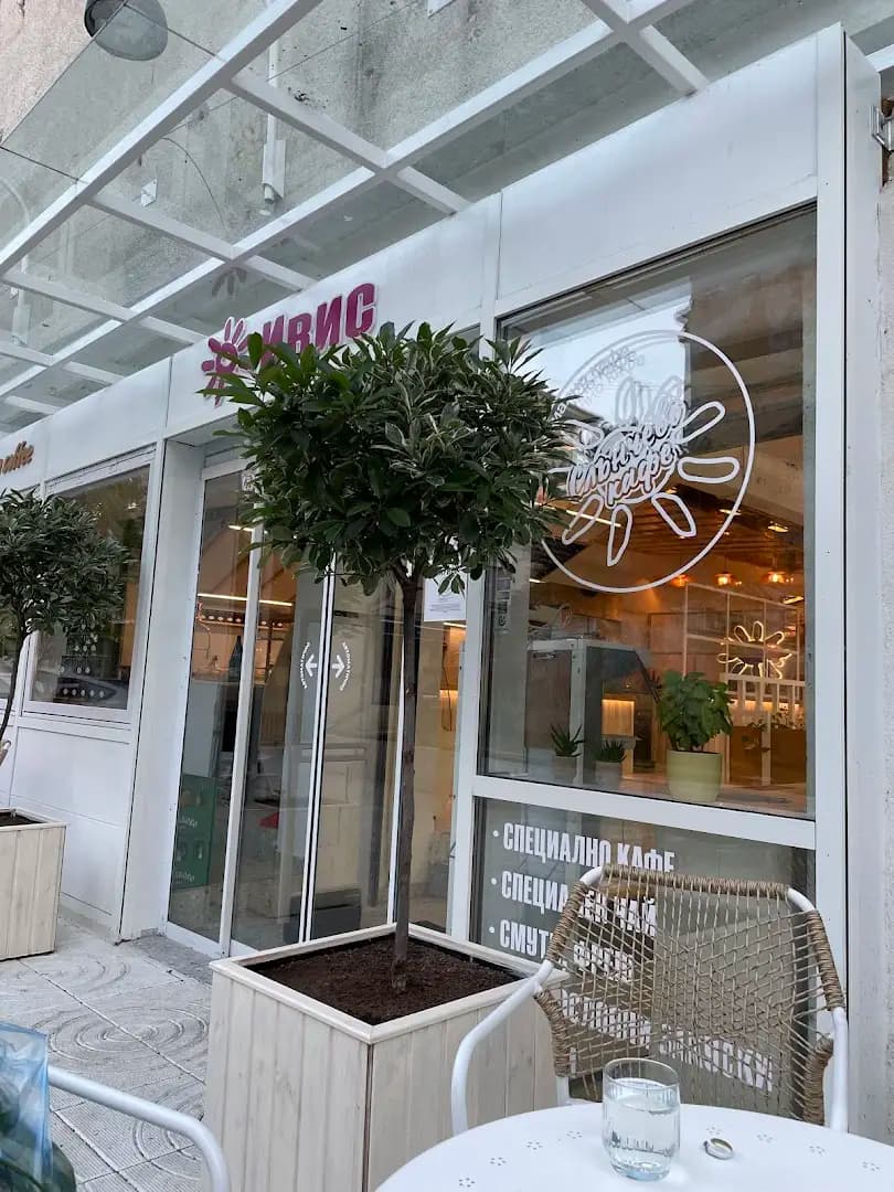 Sunny Specialty Coffee Center
