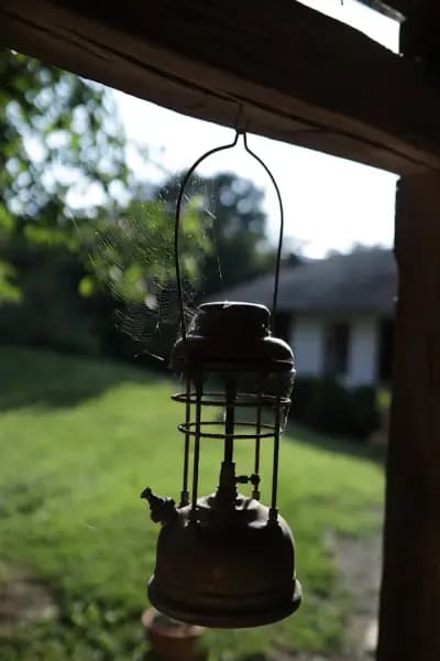 Wild Thyme Organic Farm & Eco Retreat
