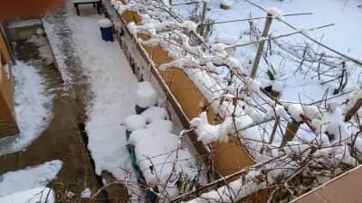 Guest House Traikovi