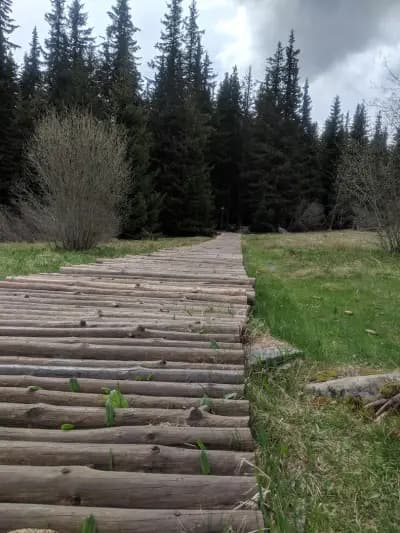 Хижа „Звездица“
