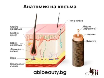Abi Beauty Дружба 2