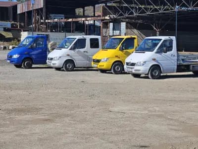 Deni Auto Montana