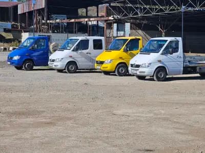 Deni Auto Montana