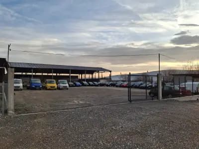 Deni Auto Montana