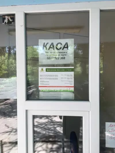 Детска железница