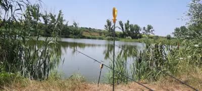 Рибарници ВОДИЦА