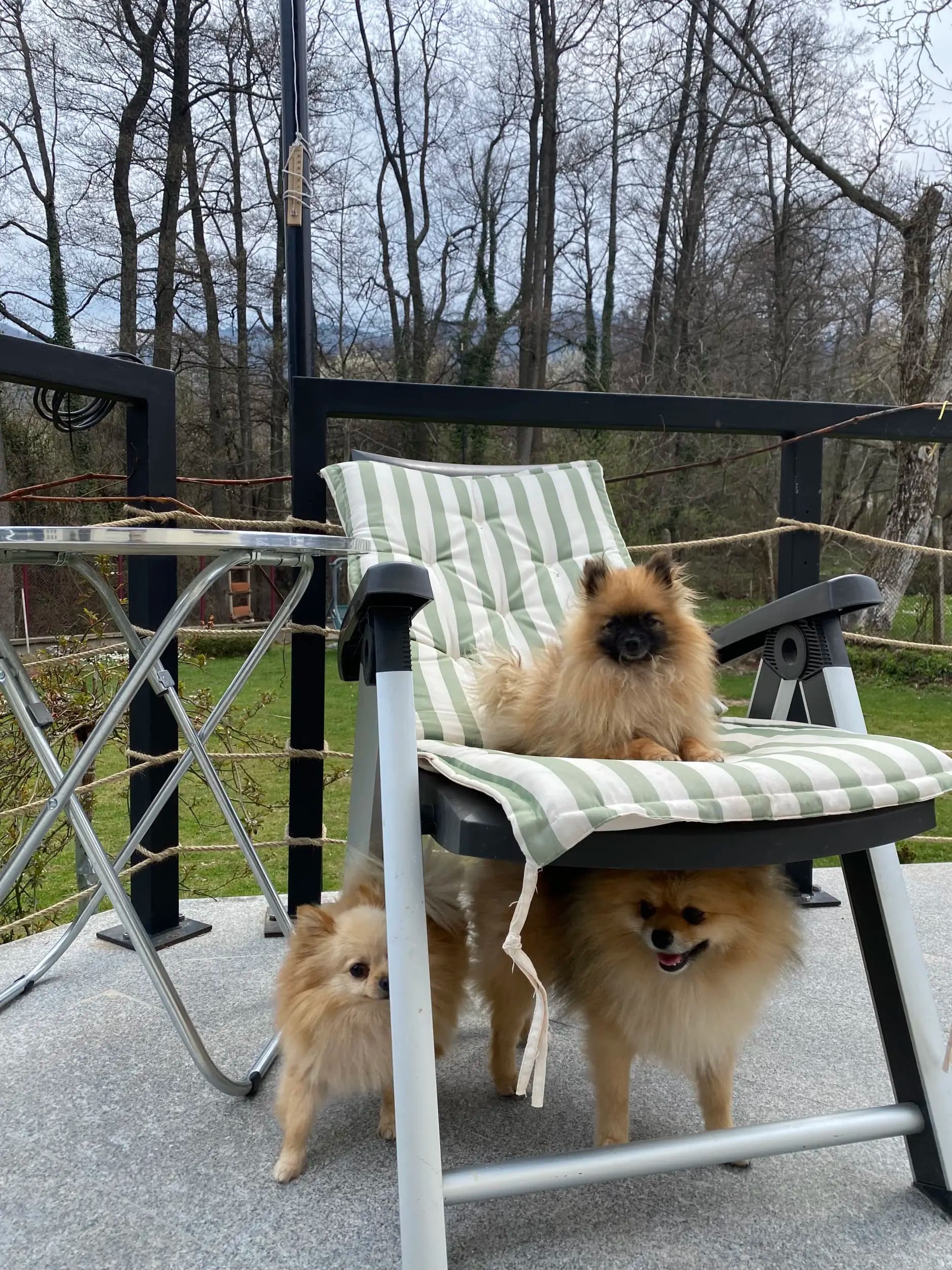 Villa Janet