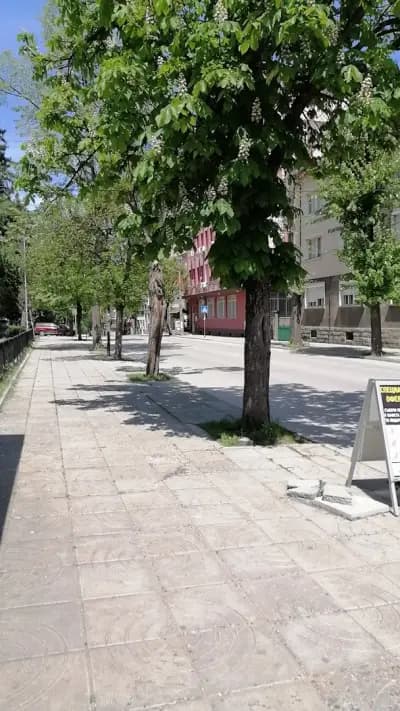Плод и зеленчук "Парчевич"