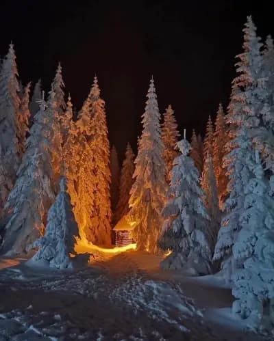 Къща за гости, механа Моллови