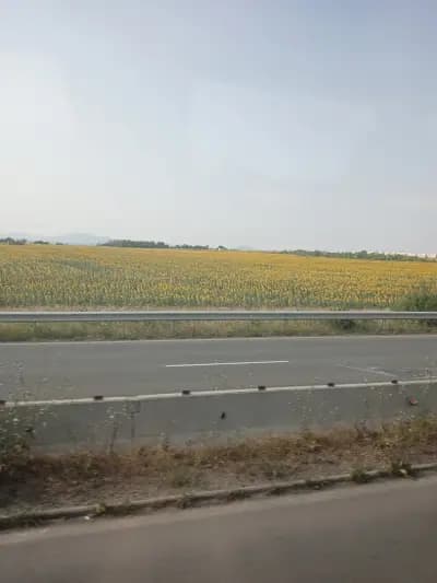 Ресторант Юндола