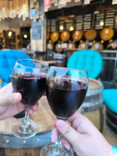 Bulgarian Wine point. Wino z beczki. Разливное вино!