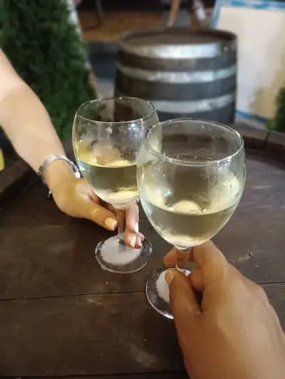 Bulgarian Wine point. Wino z beczki. Разливное вино!