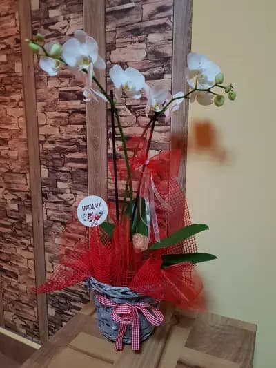 Клара Декор