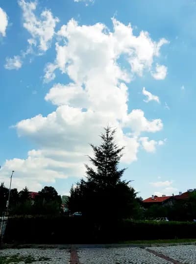 Габи (Синьото)