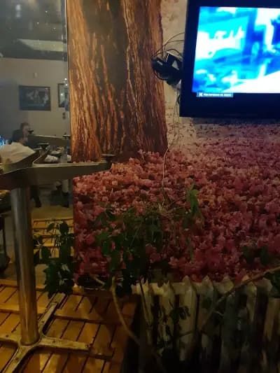 Кафене Дилайла