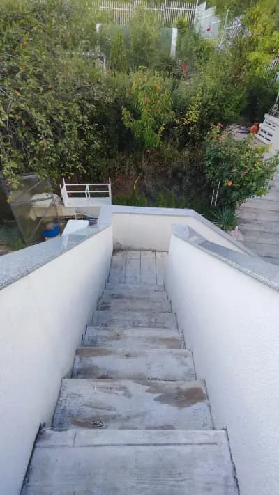 Бялата къща