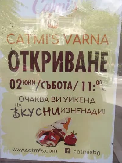Catmi's