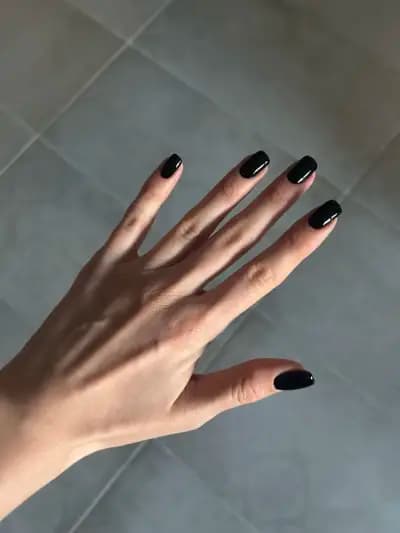Нейлс Секюрити