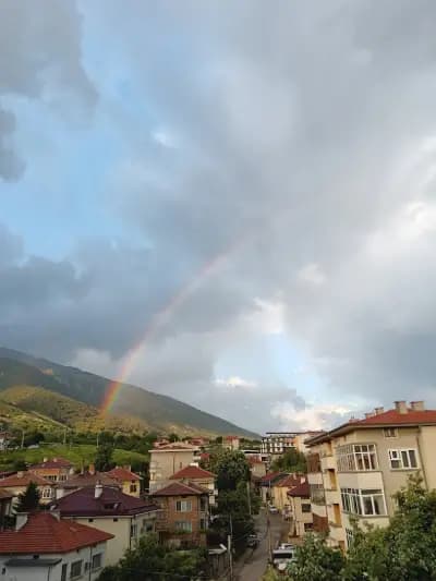 Карлово на длан