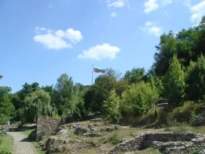 Лобната скала
