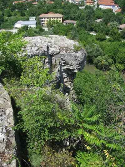 Лобната скала