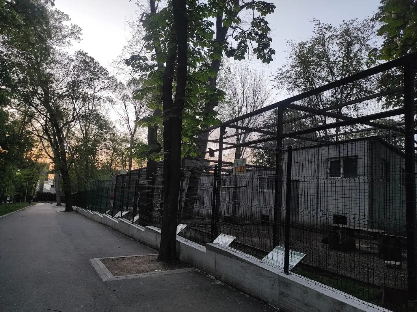 Зоокът