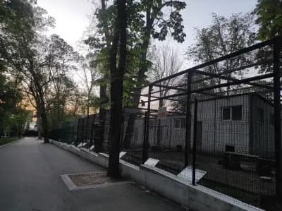 Зоокът