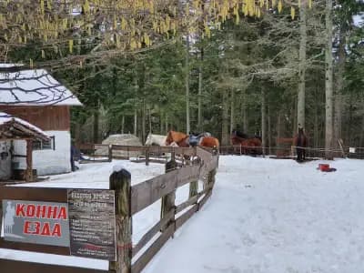 Horse Riding With Butch / Езда и конен туризъм Буч